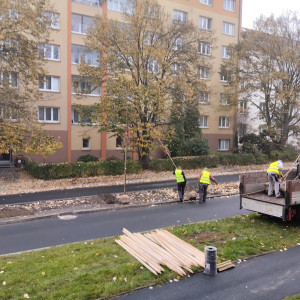 Léto se blíží. Pomozte vracet zeleň do měst a krajiny