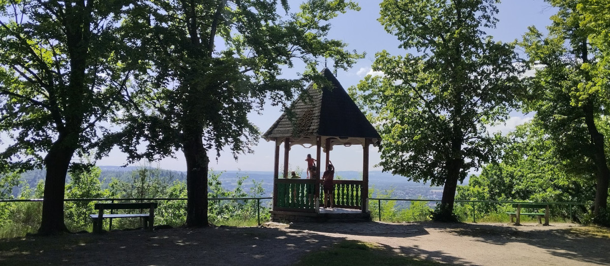 Americké děti tráví v přírodě průměrně méně času než vězni