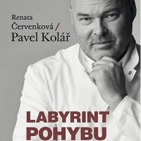 KOLÁŘ, Pavel a Renata ČERVENKOVÁ. Labyrint pohybu.